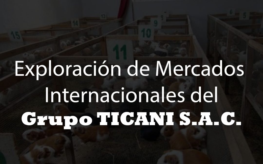 La exploración de mercados internacionales del Grupo TICANI S.A.C.