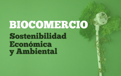 Biocomercio y mercados verdes: Un camino a la sostenibilidad económica y ambiental