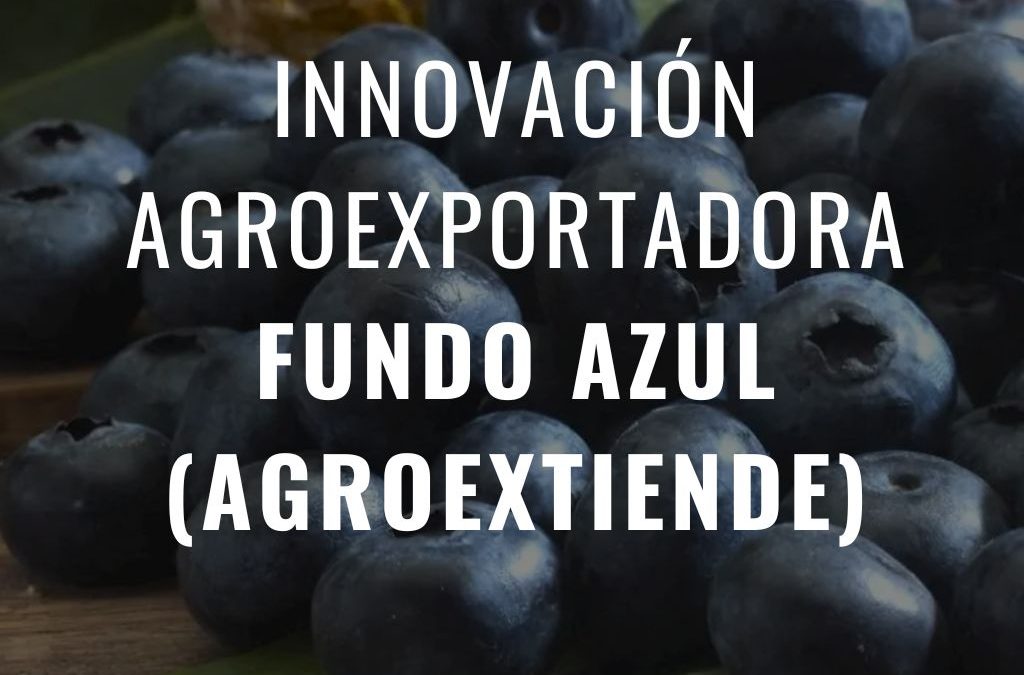 Innovación Agroexportadora: El Caso de Fundo Azul en el Proyecto AgroExtiende