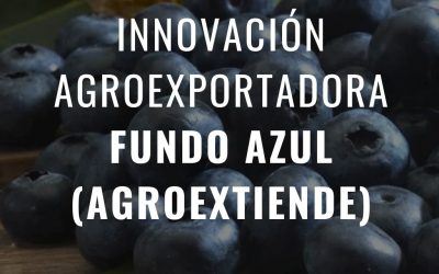 Innovación Agroexportadora: El Caso de Fundo Azul en el Proyecto AgroExtiende